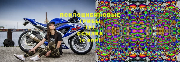 твердый Абинск