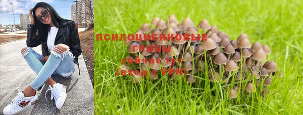 МДПВ Осташков