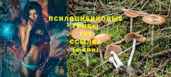 МДПВ Осташков