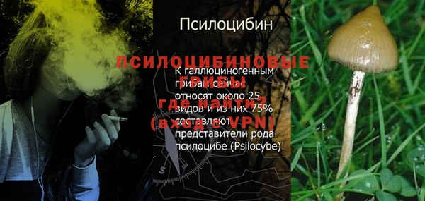 MDMA Premium VHQ Осинники
