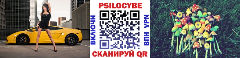 Псилоцибиновые грибы Psilocybe  Электроугли 